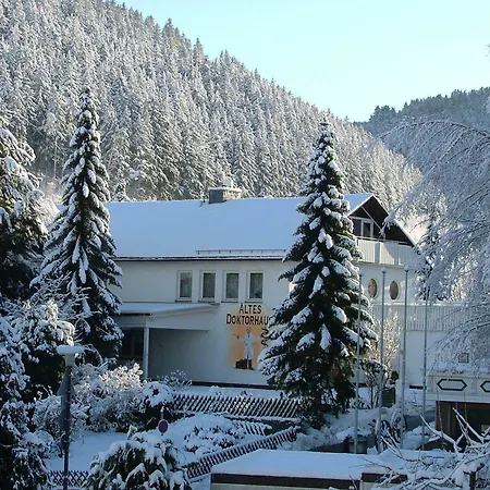 Altes Doktorhaus - Garni Hotel