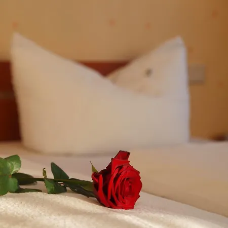 Altes Doktorhaus Отель Виллинген