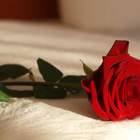 Hotel Altes Doktorhaus - Garni Willingen (Upland)