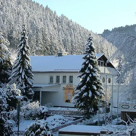 Altes Doktorhaus - Garni Otel Willingen (Upland)