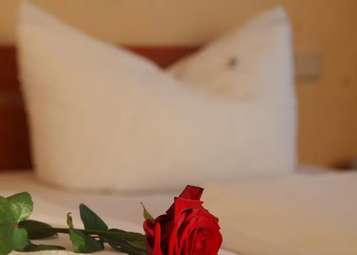 Altes Doktorhaus - Garni فندق فيلنغن