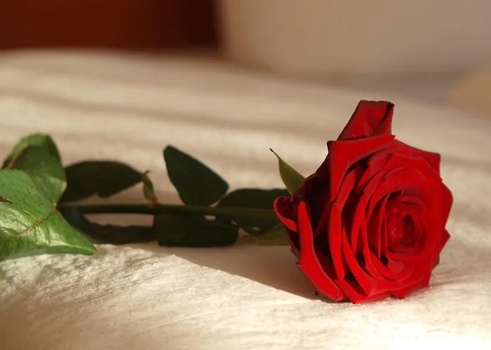 فندق Altes Doktorhaus - Garni فيلنغن