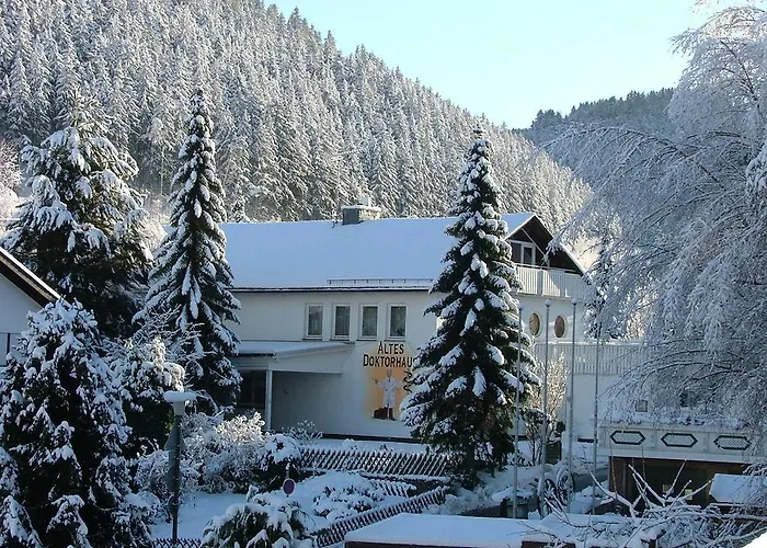 Altes Doktorhaus - Garni Hotel Willingen (Upland)